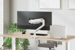 Neomounts NSLS300SILVER Laptop-Halterung 11-17" - universal