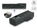 DeLOCK USB Type-C Konverter für 1 x M.2 NVMe SSD + 1...
