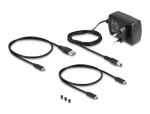 DeLOCK USB Type-C Konverter für 1 x M.2 NVMe SSD + 1 x SATA SSD / HDD mit Klon Funktion