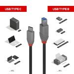 Lindy 36665 USB Kabel USB 3.2 Gen 1 (3.1 Gen 1) 0,5 m USB C USB B Schwarz