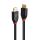 Lindy 41169 DisplayPort-Kabel 10 m Schwarz