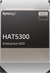 Synology HAT5300 Interne Festplatte 12 TB 7200 RPM 256 MB...