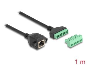 DeLOCK RJ45 Kabel Cat.6 Buchse zu Terminalblock Adapter zum Einbau 1 m 2-teilig