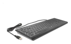 DeLOCK 12170 Tastatur Universal USB QWERTZ Deutsch Schwarz