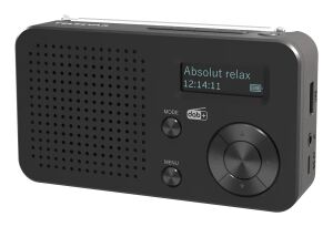 Telestar TOP 100 Tragbar Analog & Digital Schwarz