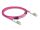 DELOCK LWL Kabel mit Metallarmierung LC Duplex Multimode 3m