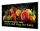 Philips 5000 series 98BDL5050D/00 Signage-Display 2,49 m (98") LCD WLAN 600 cd/m² Full HD Schwarz Eingebauter Prozessor Android
