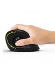 Port Designs 900719 Maus Büro rechts RF Wireless +...