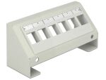 DELOCK Keystone Halterung 6 Keystone Ports Multimedia grau