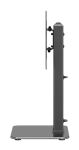 Neomounts DS45-430BL12 TV-Ständer 23-43"- schwenkbar