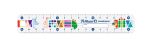 Pelikan 811224 Lineal 150 mm Kunststoff Mehrfarbig 1 Stück(e)
