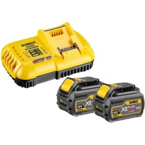 DEWALT Flexvolt Starter-Set 2xAkku 54V /108 Wh