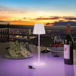 RealPower LED TableLight 360 RGB Tischleuchte 3 W Weiß