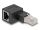 DeLOCK RJ45 Stecker zu RJ45 Buchse Adapter Cat.6A 90° nach links gewinkelt