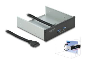 DELOCK 5.25 Front Panel mit 2 x USB 5 Gbps Typ-A Ports