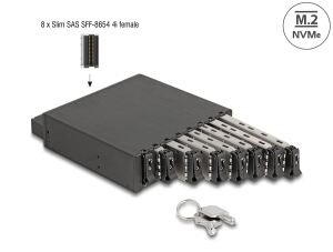 DELOCK 5.25 Wechselrahmen für 8 x M.2 NVMe SSD Slim SFF-8654