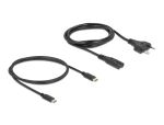 DELOCK USB GaN Ladegerät 2 x USB Type-C PD 3.0 mit 65W