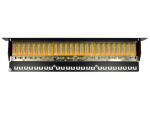 DELOCK 19" Patchpanel 24 Port Cat.6 schwarz