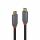Lindy 36903 USB Kabel USB 3.2 Gen 2 (3.1 Gen 2) 2 m USB C 20 Gbit/s 100 W Schwarz