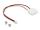 DELOCK Konverter M.2 Key B+M Stecker zu USB Type-C Buchse