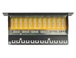 DELOCK 10" Patchpanel 12 Port Cat.6 grau