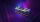 Kingston Technology FURY 96GB 6000MT/s DDR5 CL32 DIMM (2er-Kits) Renegade RGB XMP