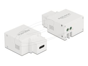 DELOCK Keystone Modul mit USB Type-C Ladebuchse 2,1 A weiß