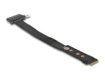 DELOCK M.2 Key M > U.2 SFF-8639 NVMe Adapter 20cm Kabel