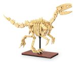 Jamara CaDA Dinosaurier Fossil Velociraptor Bricks