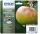 Epson Apple T1295 Apfel DURABrite Ultra Multipack 4 Farben Tinte