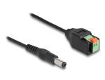 DeLOCK DC Kabel 2,1 x 5,5 mm Stecker zu 2 Pin...
