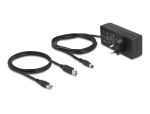 DELOCK Externer USB 5 Gbps Hub mit 13 Ports + Schalter
