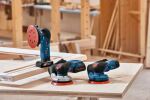 Bosch GEX 18V-125 PROFESSIONAL Exzenterschleifer 10000...