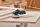 Bosch GEX 18V-125 PROFESSIONAL Exzenterschleifer 10000 RPM 20000 OPM Schwarz, Blau, Grau