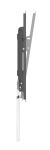 Equip 43"-95" Neigbare Schlanke TV-Wandhalterung