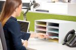 Fellowes 4482601 Schreibtisch-Sortierer Grün Papier