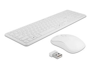DELOCK USB Tastatur und Maus Set 2,4 GHz kabellos weiß