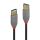 Lindy 1m USB 3.2 Typ A Verlängerungskabel, Anthra Line
