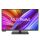 ASUS ProArt Display PA32UCXR Computerbildschirm 81,3 cm (32") 3840 x 2160 Pixel 4K Ultra HD LCD Schwarz