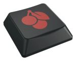 CHERRY KC 500 MX LP TKL Tastatur Heimbüro USB QWERTZ Deutsch Schwarz, Grau
