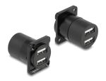 DELOCK D-Typ Modul USB 2.0 Typ-A 2 x Buchse zu 2 x Buchse
