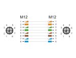 DELOCK M12 Kabel X-kodiert 8 Pin Stecker zu Stecker PVC 1 m