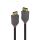 Lindy 36486 DisplayPort-Kabel 10 m Schwarz