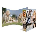 HERMA 7165 Ringmappe A4