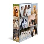 HERMA 7165 Ringmappe A4