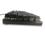 DeLOCK Mechanische USB Gaming Tastatur kabelgebunden 1,6 m schwarz mit RGB Beleuchtung