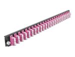DELOCK 19 LWL Spleißbox Frontblende 24 Port LC Quad...