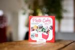 Canon Photo Cube Value Pack mit PG-540/CL-541