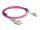 DELOCK LWL Kabel mit Metallarmierung LC Duplex Multimode 2m