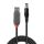 Lindy 70268 USB Kabel USB 2.0 1,5 m USB A Gleichstrom Schwarz